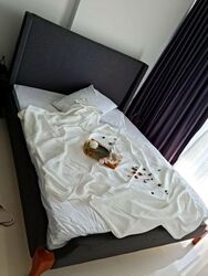 Forte Suites (D8), Apartment #568816161